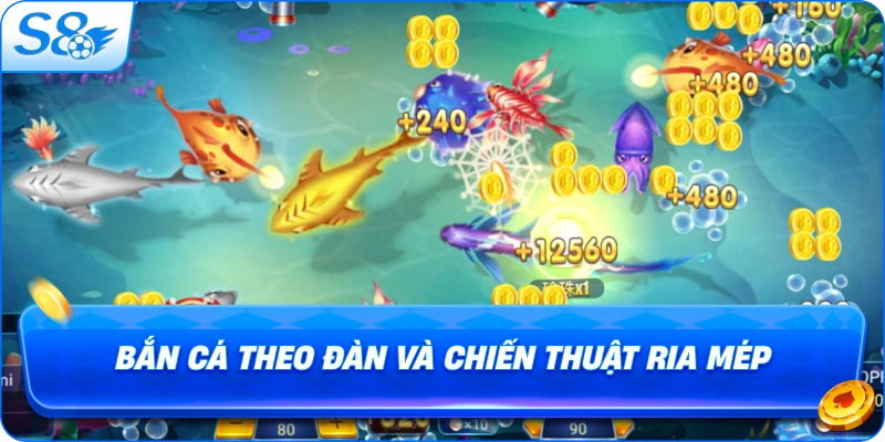 ban-ca-theo-dan-va-chien-thuat-ria-mep