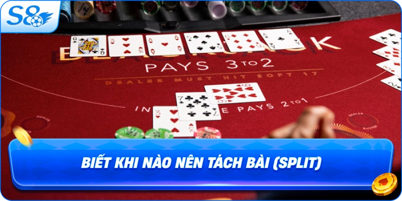 biet-khi-nao-nen-tach-bai-split