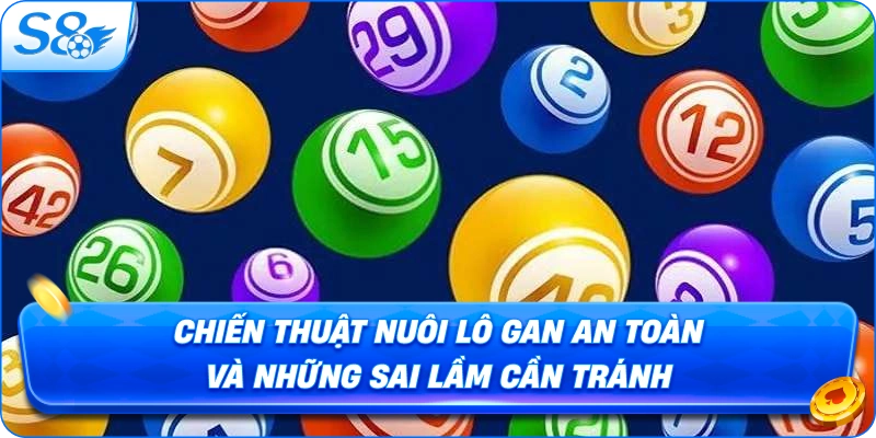 chien-thuat-nuoi-lo-gan-an-toan-va-nhung-sai-lam-can-tranh