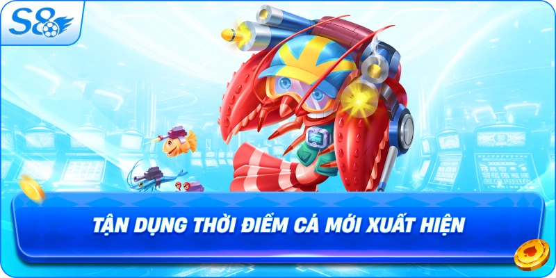 tan-dung-thoi-diem-ca-moi-xuat-hien